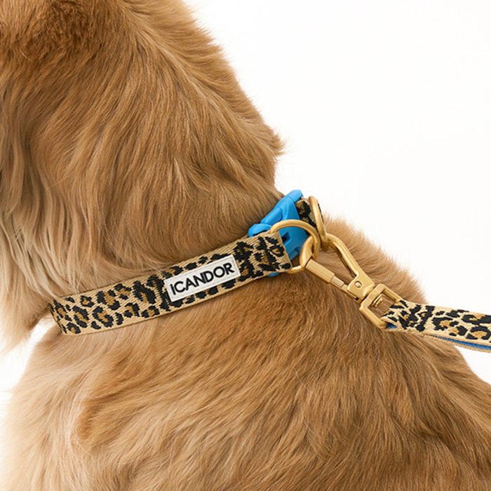 ※予約販売【iCANDOR】Gentle Collar Dual（LEOPARD）