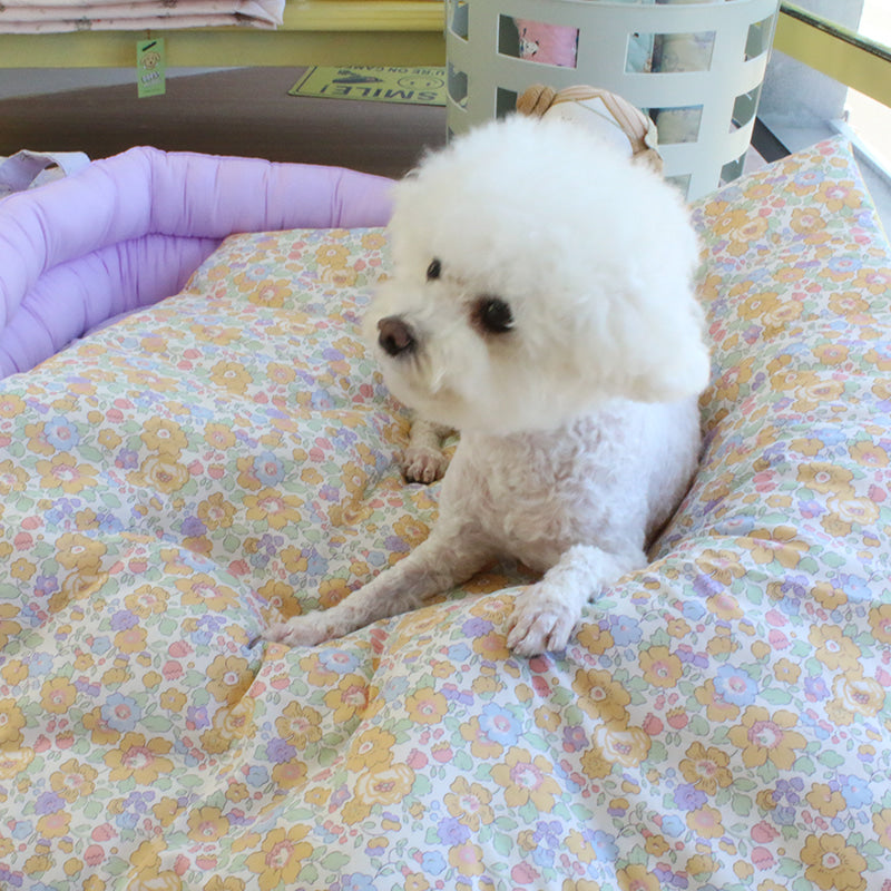 即納【OOPS! MY DOG】Liberty London x Oops! my Dog