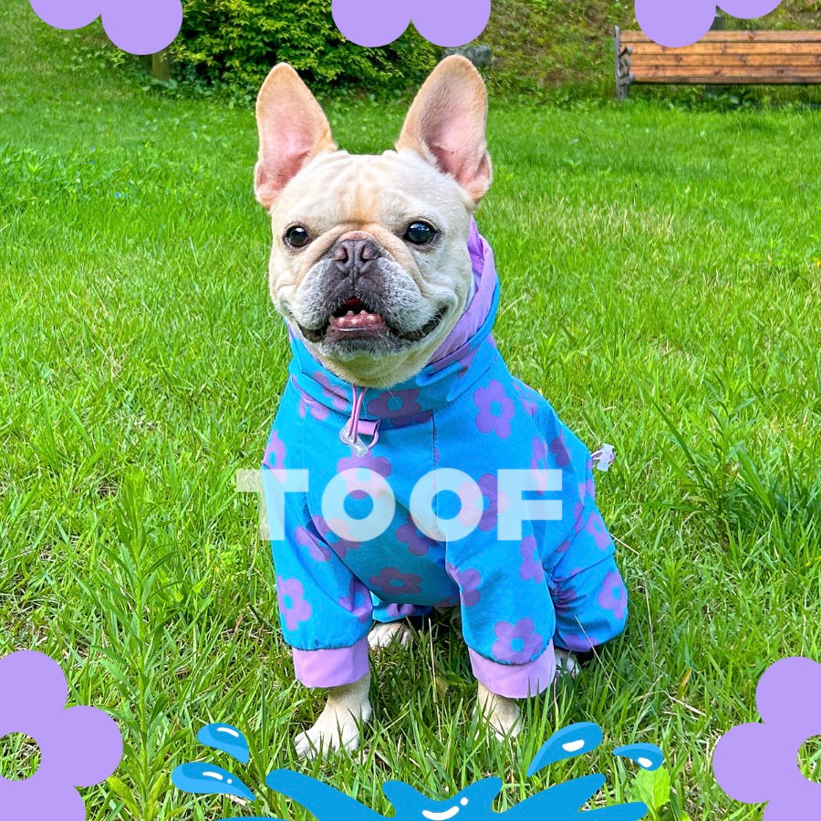 ※予約販売【TOOF】ALL IN ONE RAINCOAT