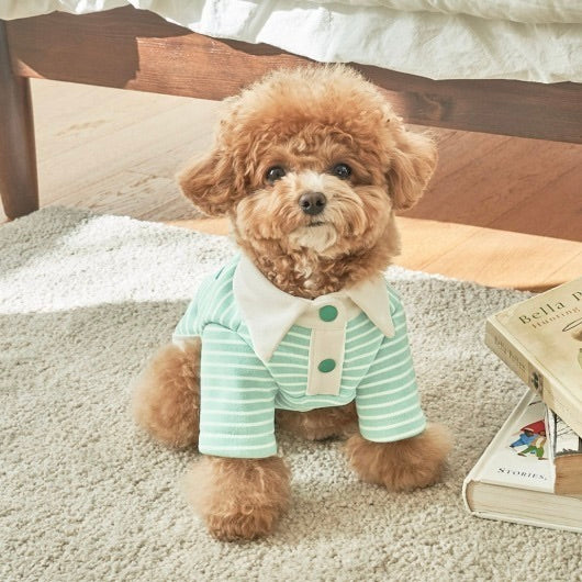 ※予約販売【Bailey】Roy Collar T-shirt（Mint Melon）