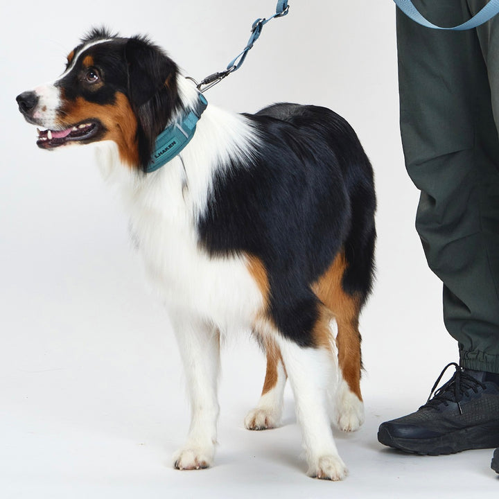 ※予約販売【munikund】TREKTAIL Collar - Khaki