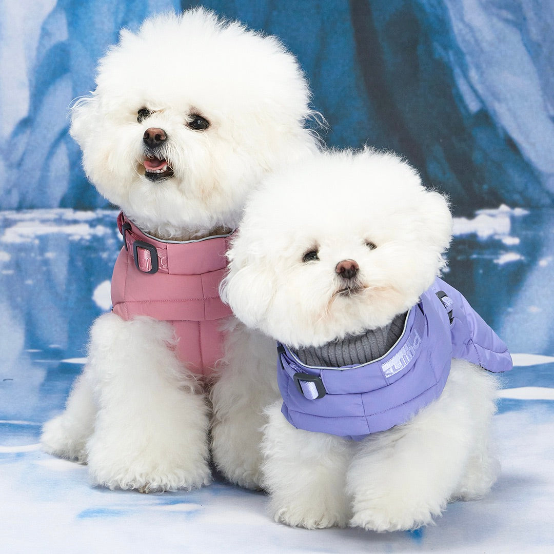 海外犬服高品質なインポートのドッグウェア通販 