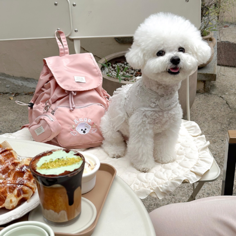 ※予約販売【MOOD ON.】CUSTOM BACKPACK｜犬用バッグ☆9/27(日)まで新色発売記念キャンペーン