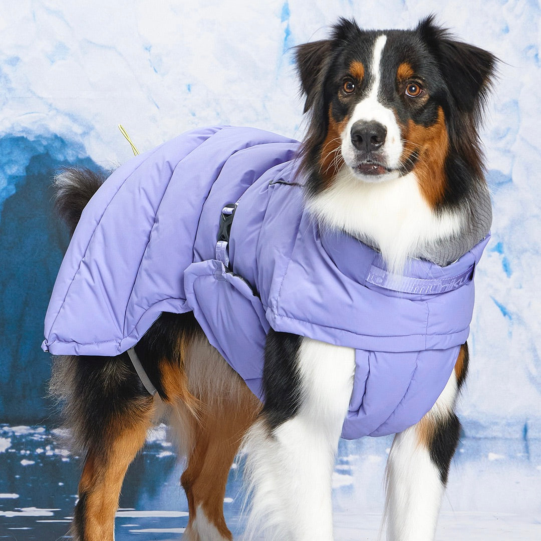 ドッグウェア bluebleubleue スカジャン 0 初期名作 犬服 ドッグウェア bluebleubleue スカジャン 0 初期名作 犬服