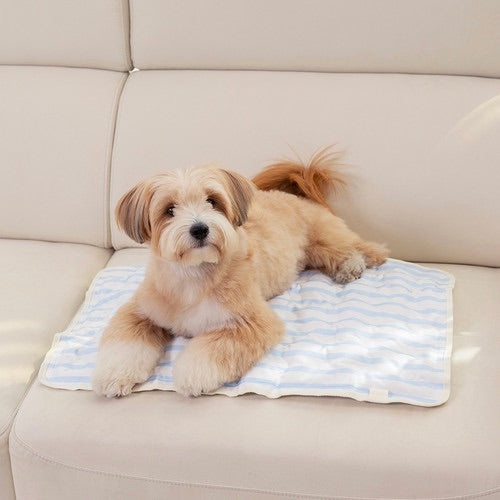 ※予約販売【Chiot】ICE Cool Mat