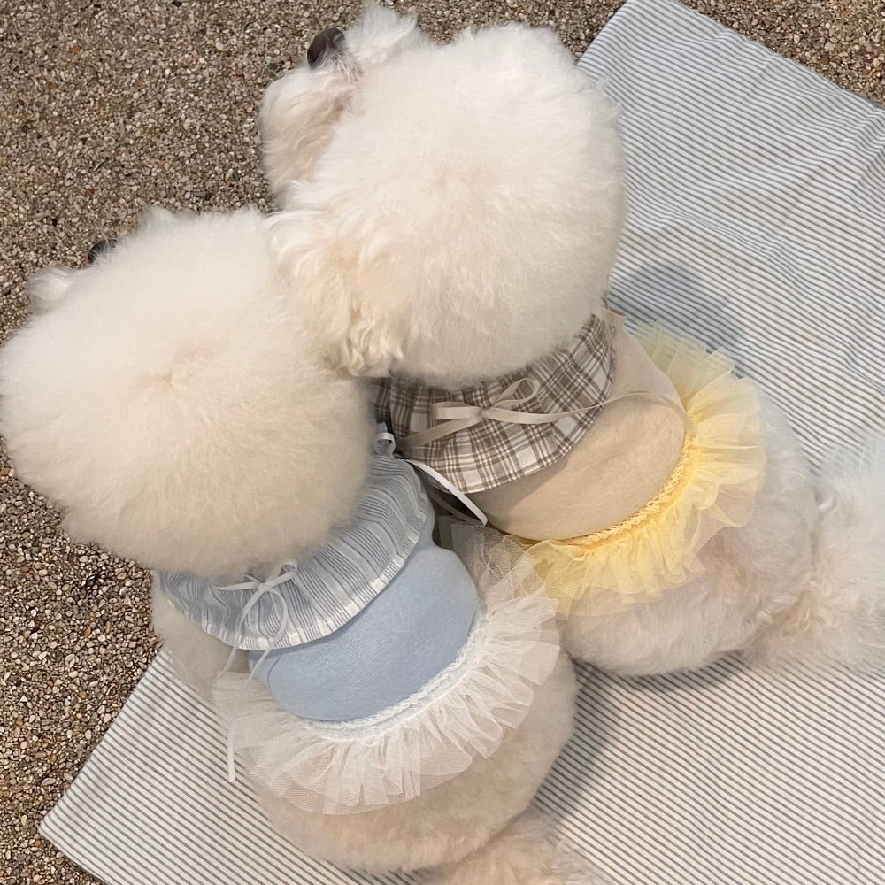 ※予約販売【Hi Yeboo】Sora Cape Collar Tutu（Blue / Beige）