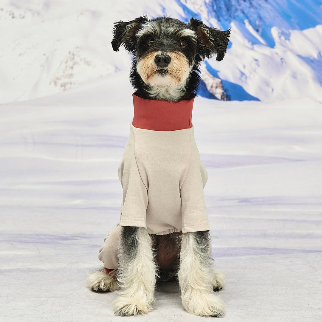 海外犬服 高品質なインポートのドッグウェア通販 