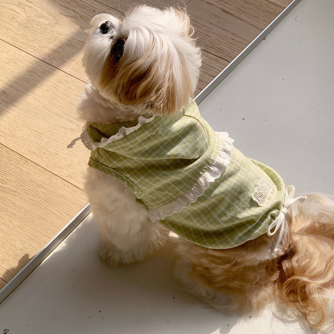 ※予約販売【DURANG RURANG】Airy Cotton Hooded Shirt（Lime Green）