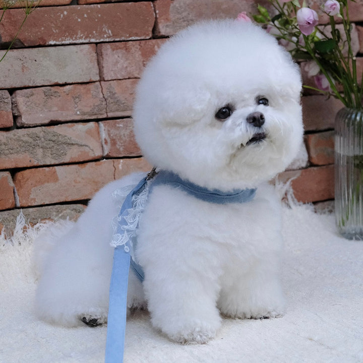 即納【BeBe Breath】Essential Harness（Denim）Leash Set｜犬用ハーネス