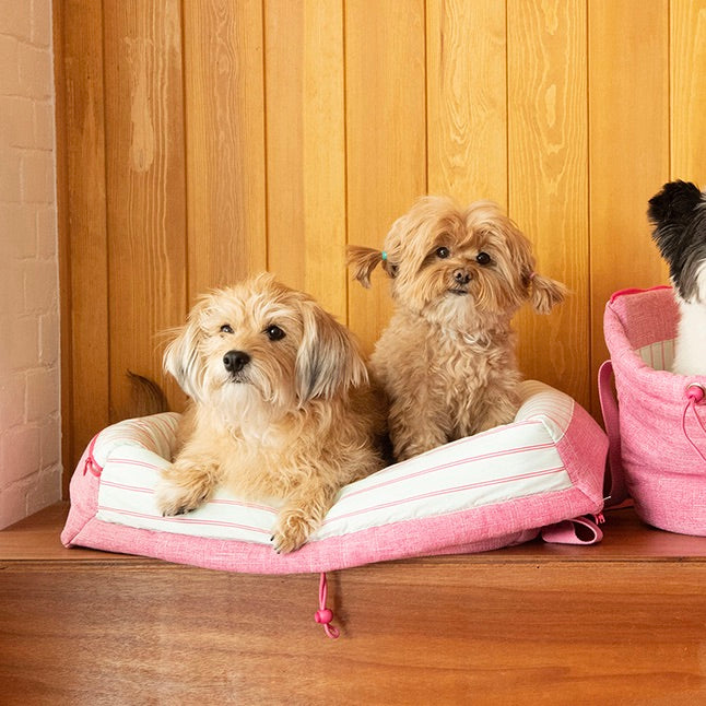 即納【noonoosoom】NOONOOSOOM × BETTERS Easy carry cozy bag（Pink）｜犬用バッグ