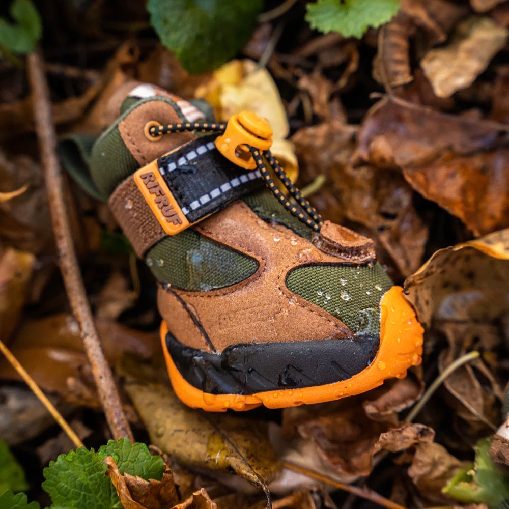 海外犬服 高品質なインポートのドッグウェア通販 