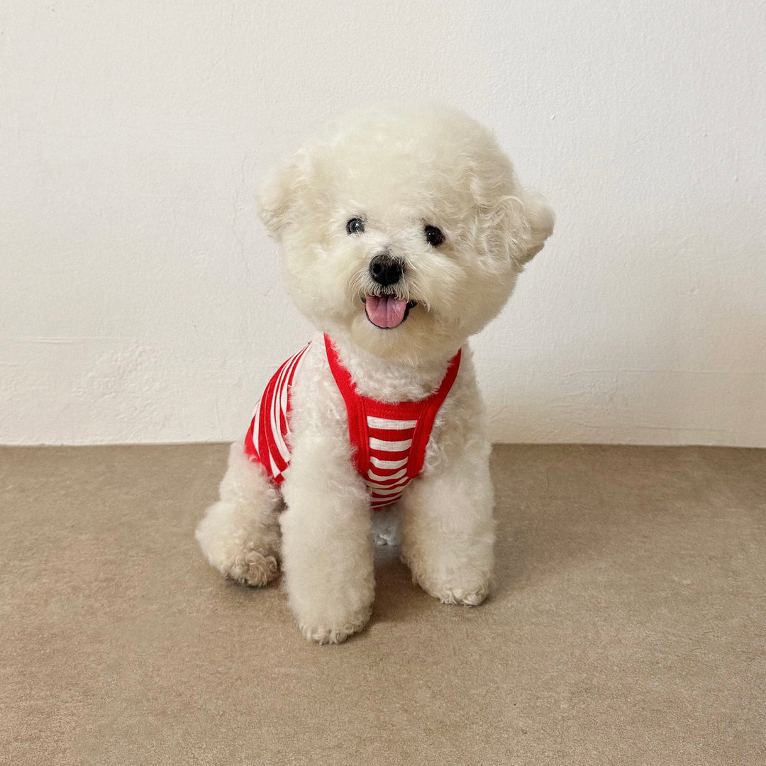 ※予約販売【CRR】Marine Stripe Strap Top（Red）