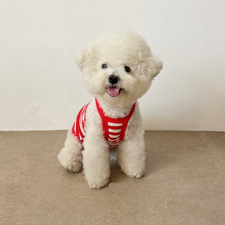 ※予約販売【CRR】Marine Stripe Strap Top（Red）