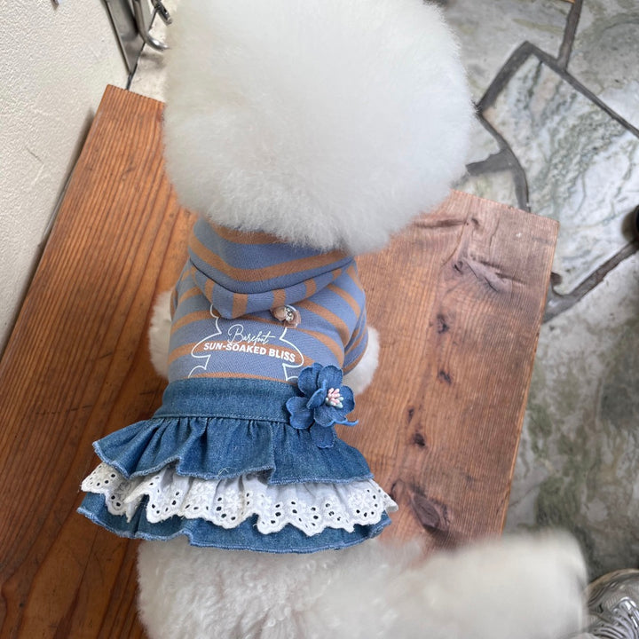 ※予約販売【Hi Yeboo】Bliss Bear Hoodie（Blue）