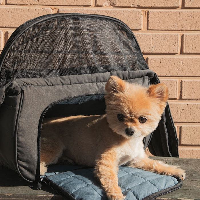 即納【BITE ME】COMFY RAVIOLI - City bag（Charcoal）