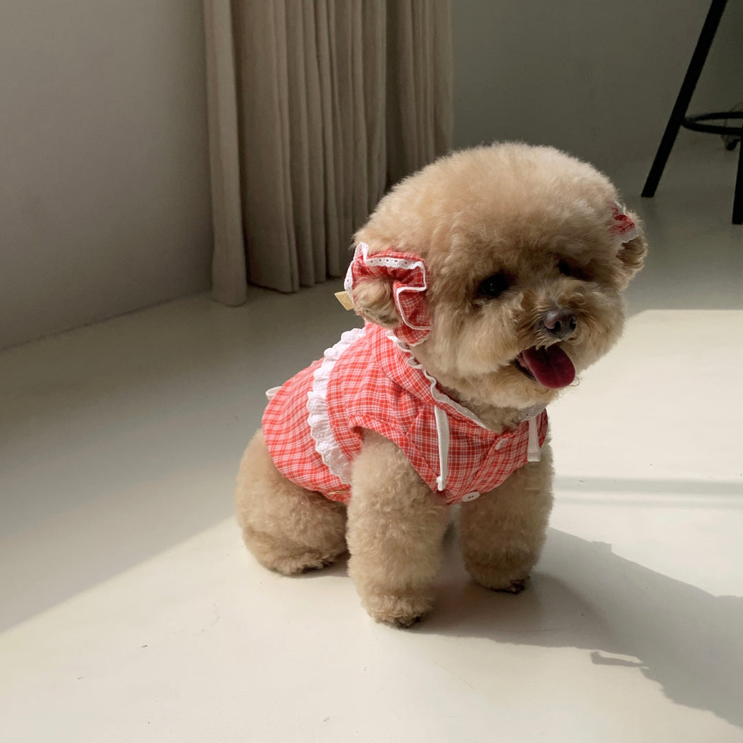 ※予約販売【DURANG RURANG】Check Scrunchies