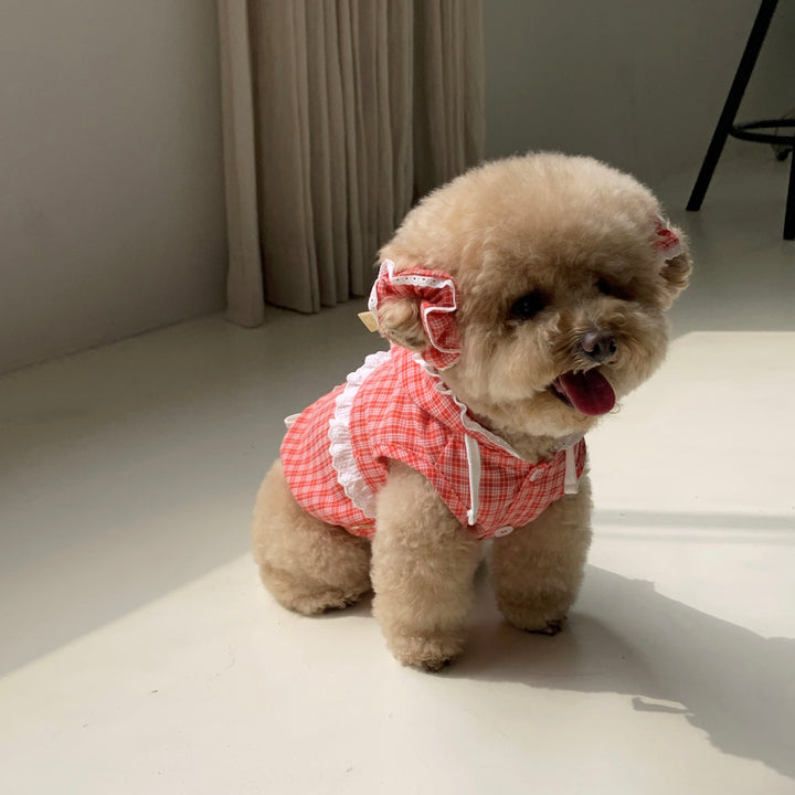 ※予約販売【DURANG RURANG】Check Scrunchies