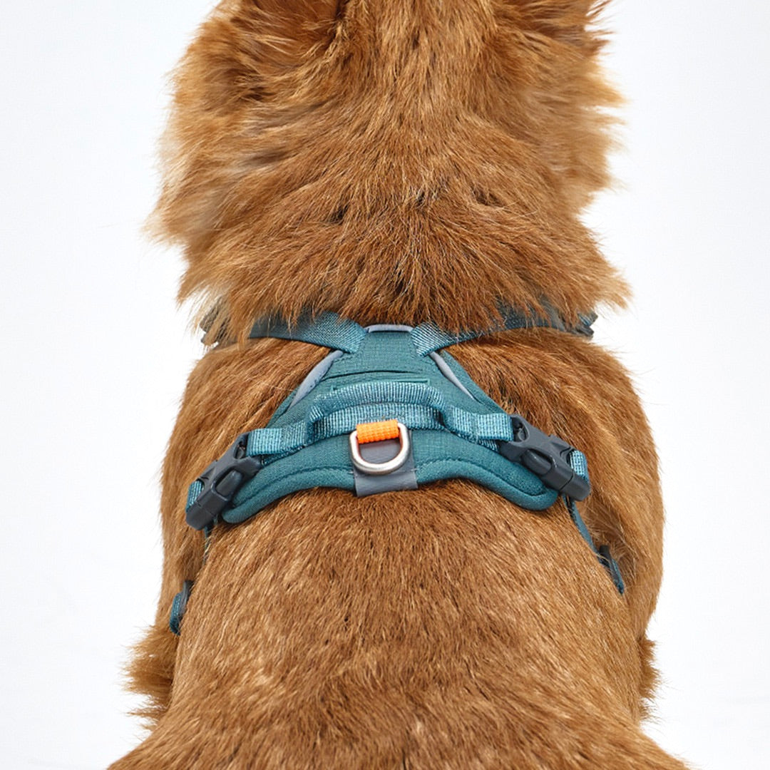 ※予約販売【munikund】TREKTAIL Harness - Khaki ｜犬用ハーネス