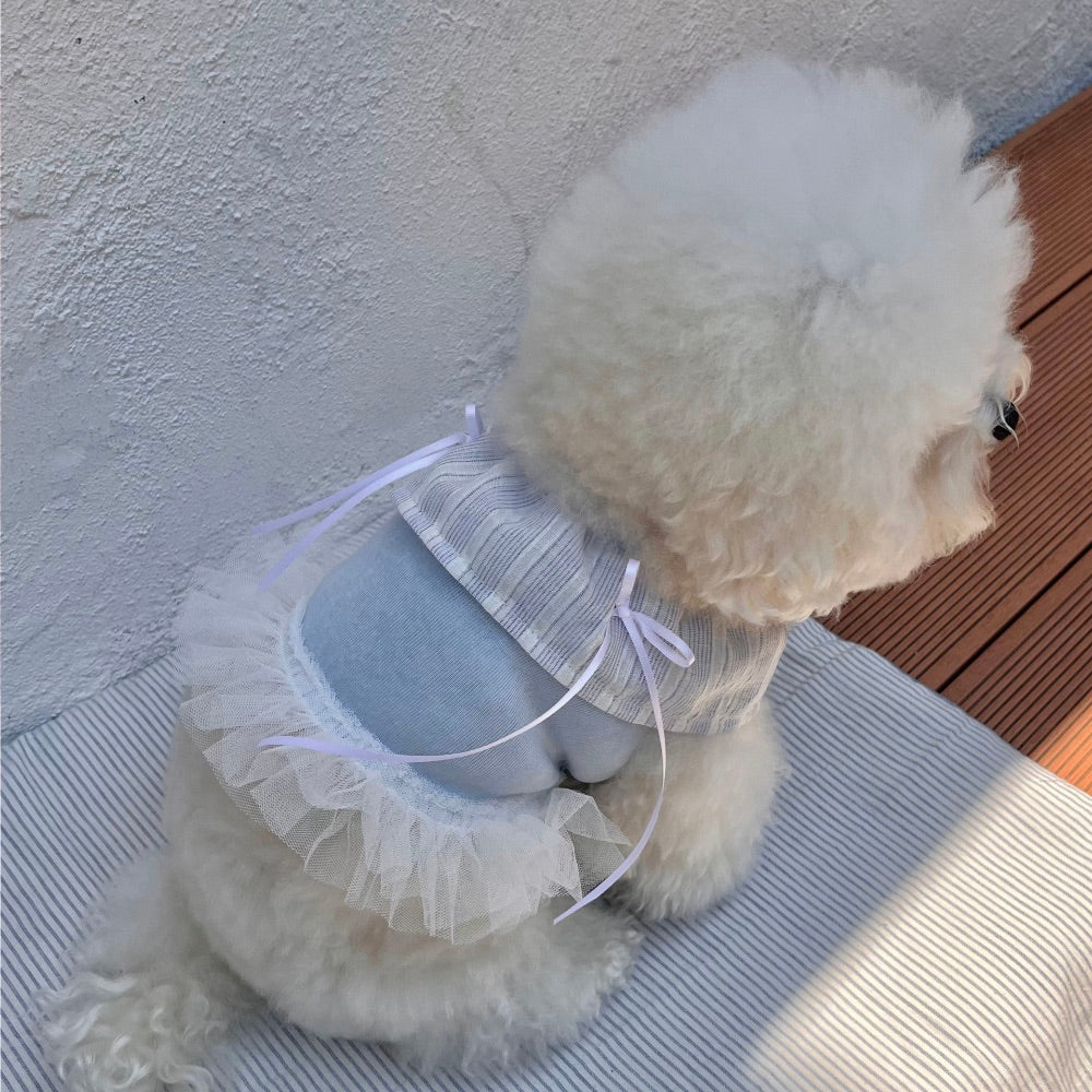 ※予約販売【Hi Yeboo】Sora Cape Collar Tutu（Blue / Beige）
