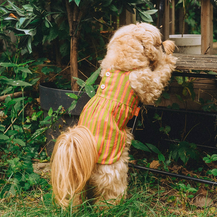 即納【noonoosoom】Stripe Dress（Orange）