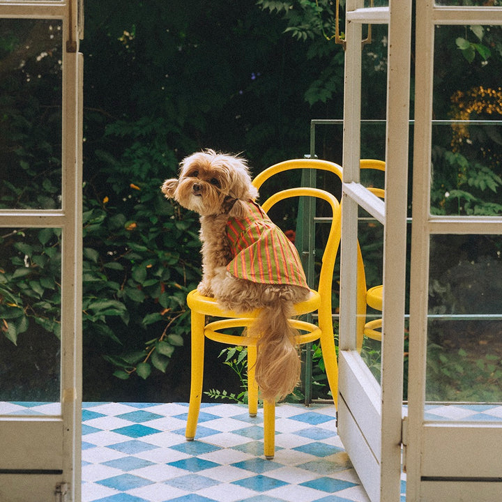 即納【noonoosoom】Stripe Dress（Orange）