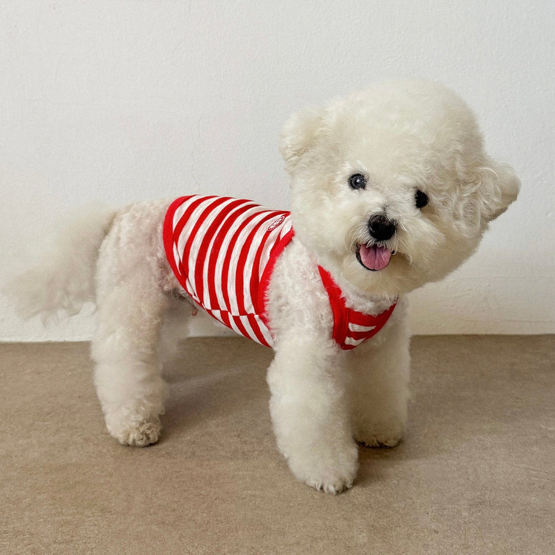 ※予約販売【CRR】Marine Stripe Strap Top（Red）