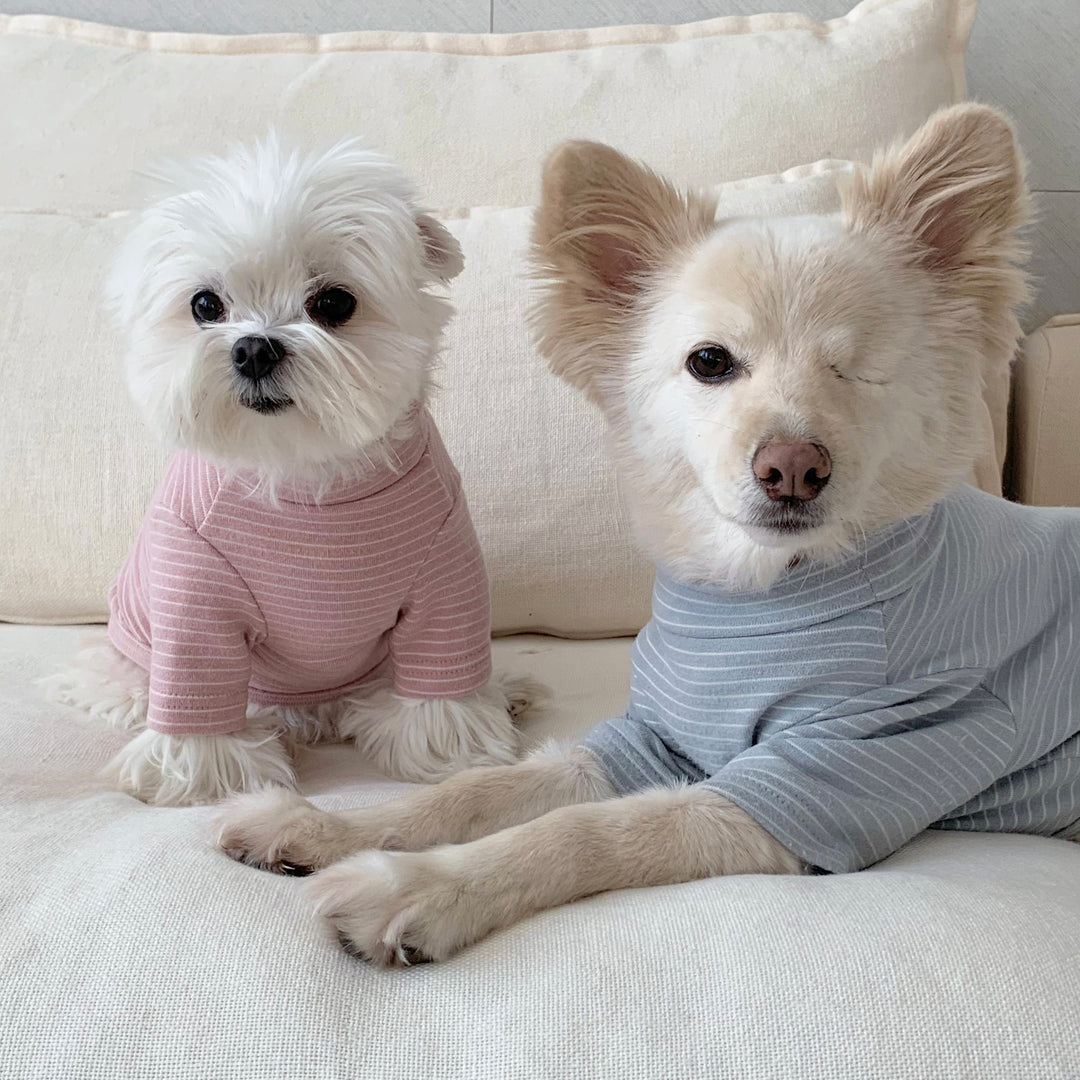 ※予約販売【DURANG RURANG】Teddy Bear Basic T（6color）