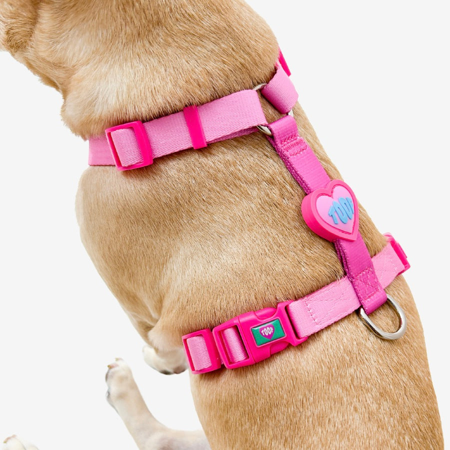 海外犬服 高品質なインポートのドッグウェア通販 