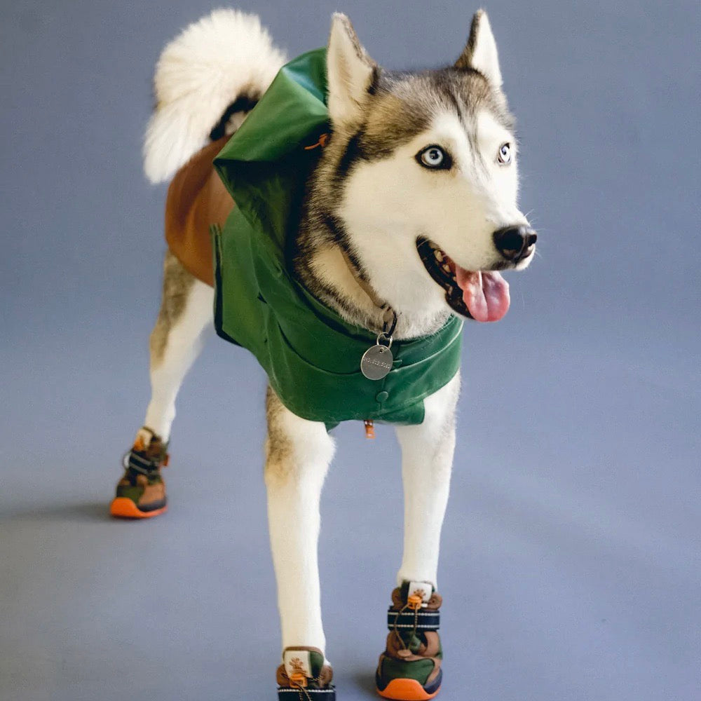 海外犬服 高品質なインポートのドッグウェア通販 