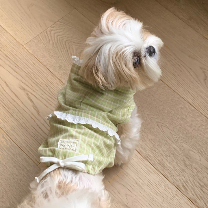 ※予約販売【DURANG RURANG】Airy Cotton Hooded Shirt（Lime Green）