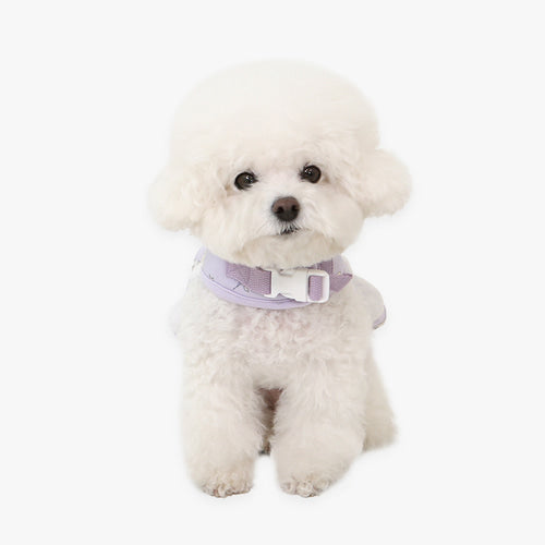 ※予約販売【ITS DOG】Petit Minyong Angel Harness (Violet)