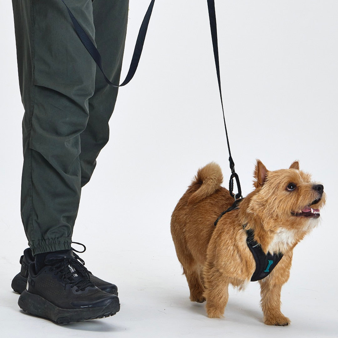 ※予約販売【munikund】REKTAIL Leash - Black（20mm/1.8M）