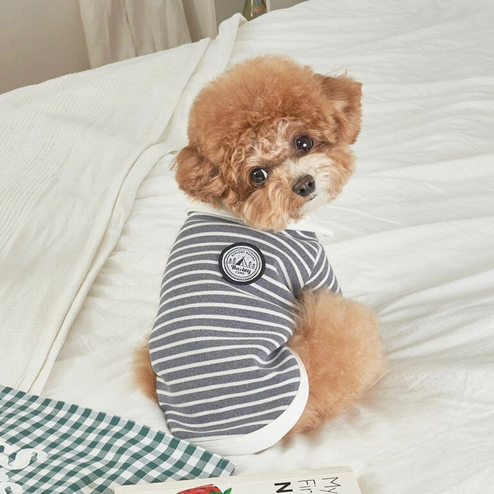 ※予約販売【Bailey】Roy Collar T-shirt（Chic Gray）