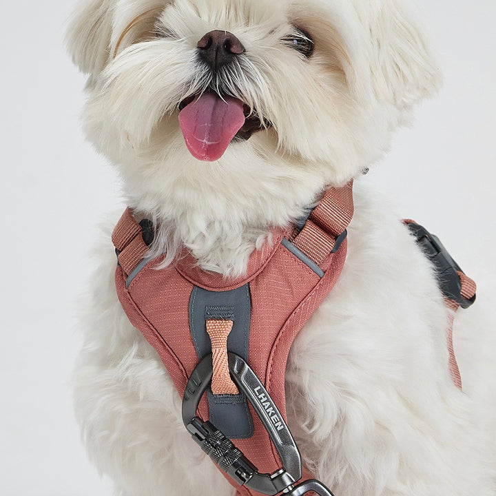 ※予約販売【munikund】REKTAIL Leash - Pink（20mm/1.8M）