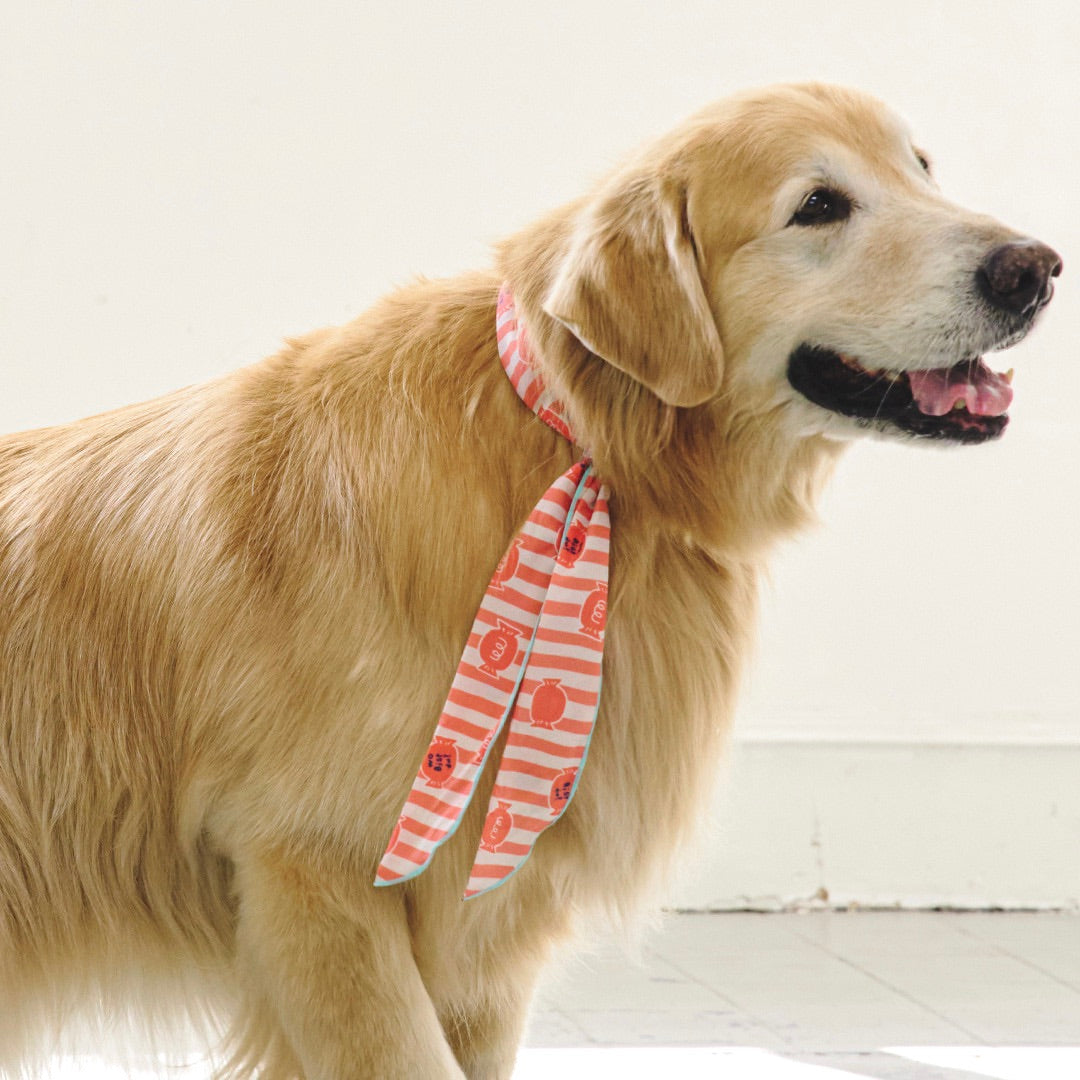 ※予約販売【munikund】COOL SCARF（Candy Orange）