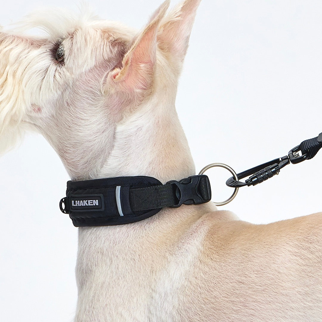 ※予約販売【munikund】TREKTAIL Collar - Black