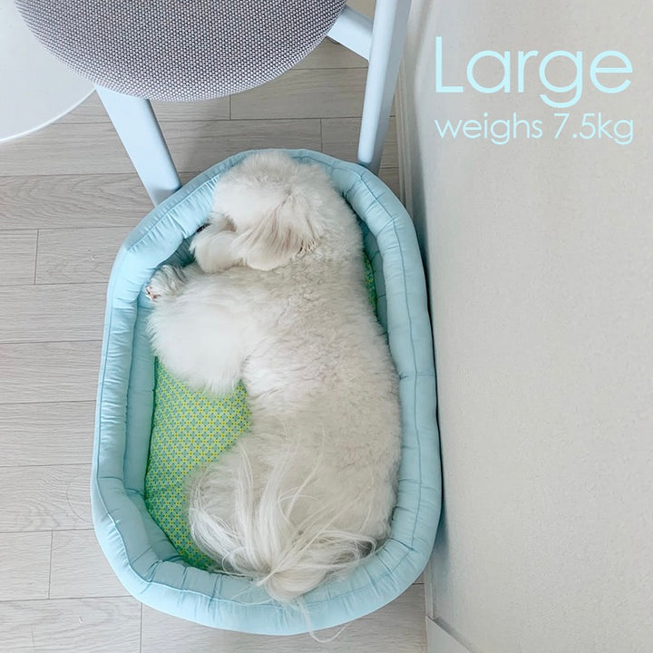 ※予約販売【OOPS! MY DOG】Bonjour Neon Pop Basket