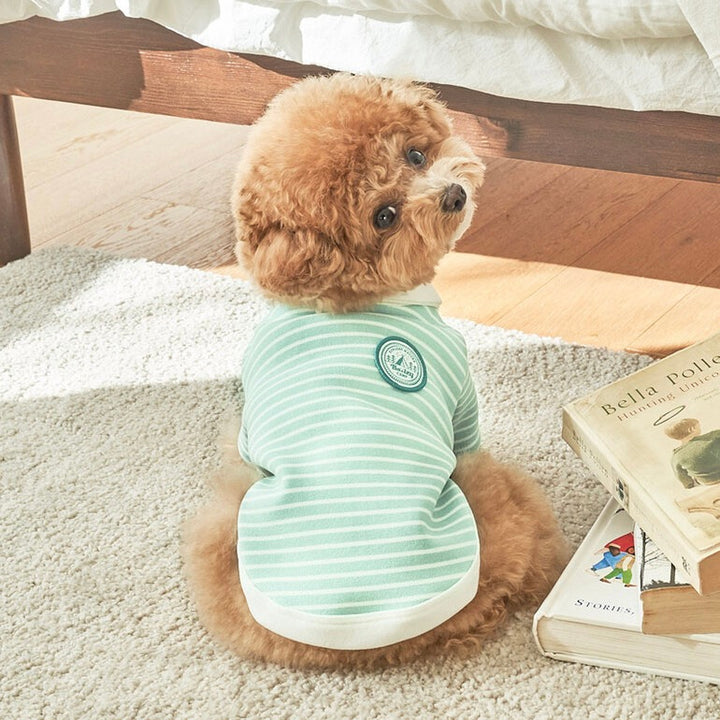 ※予約販売【Bailey】Roy Collar T-shirt（Mint Melon）