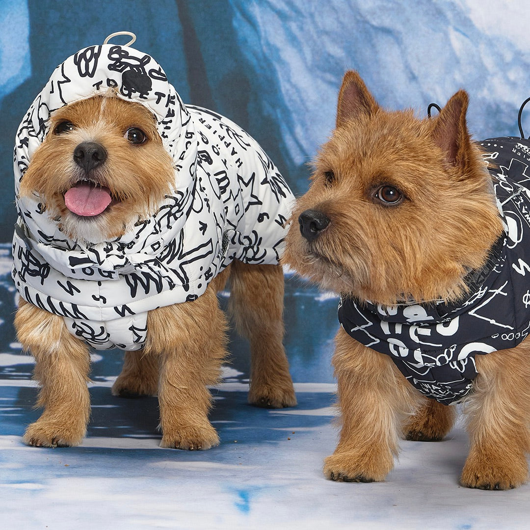 ※予約販売【munikund】munikund × INAPSQUARE Thermal Up Padding Air 2 - INAP（Black）