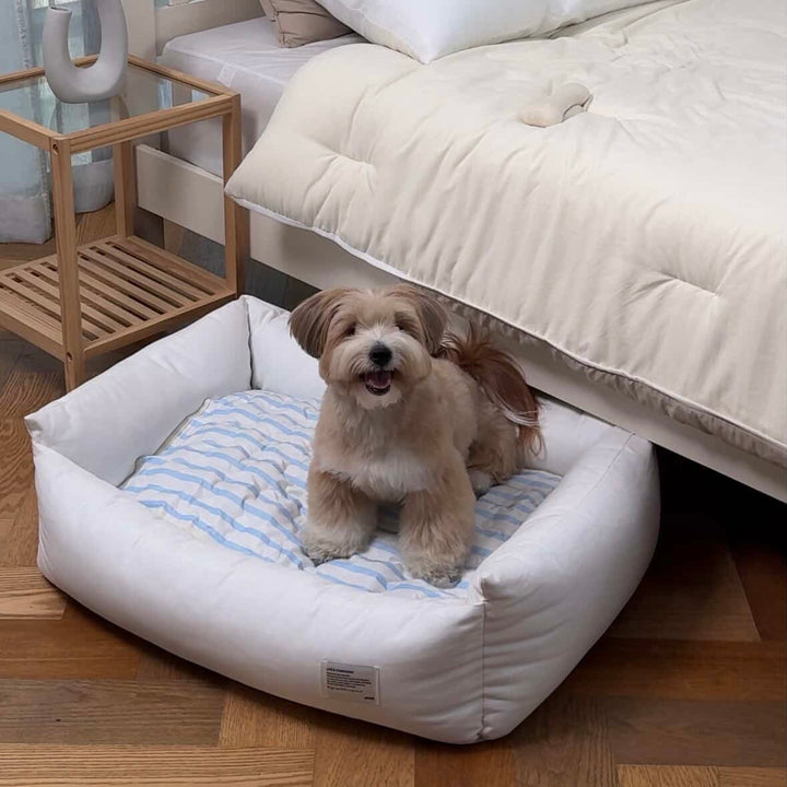※予約販売【Chiot】ICE Cool Mat