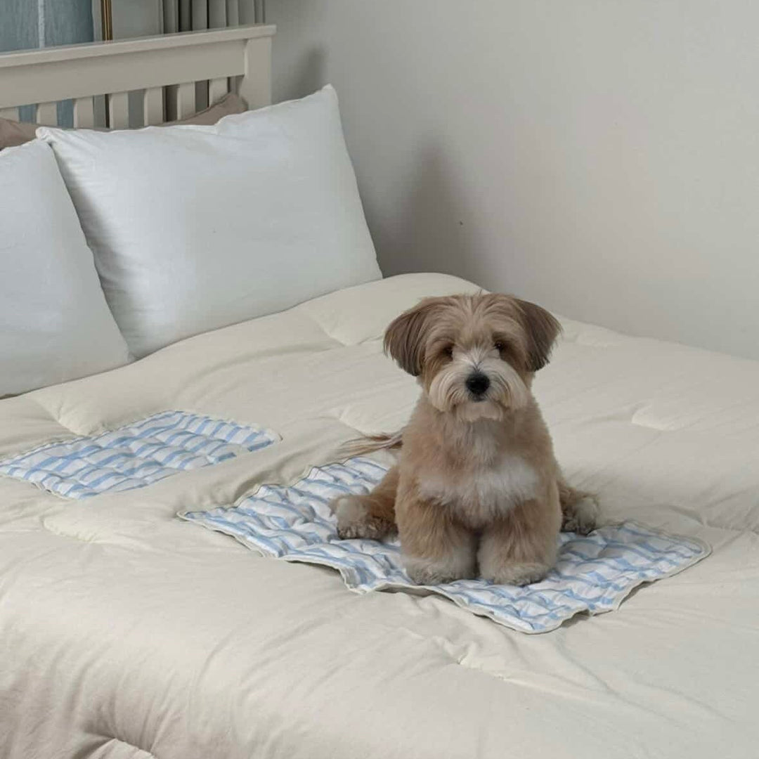 ※予約販売【Chiot】ICE Cool Mat