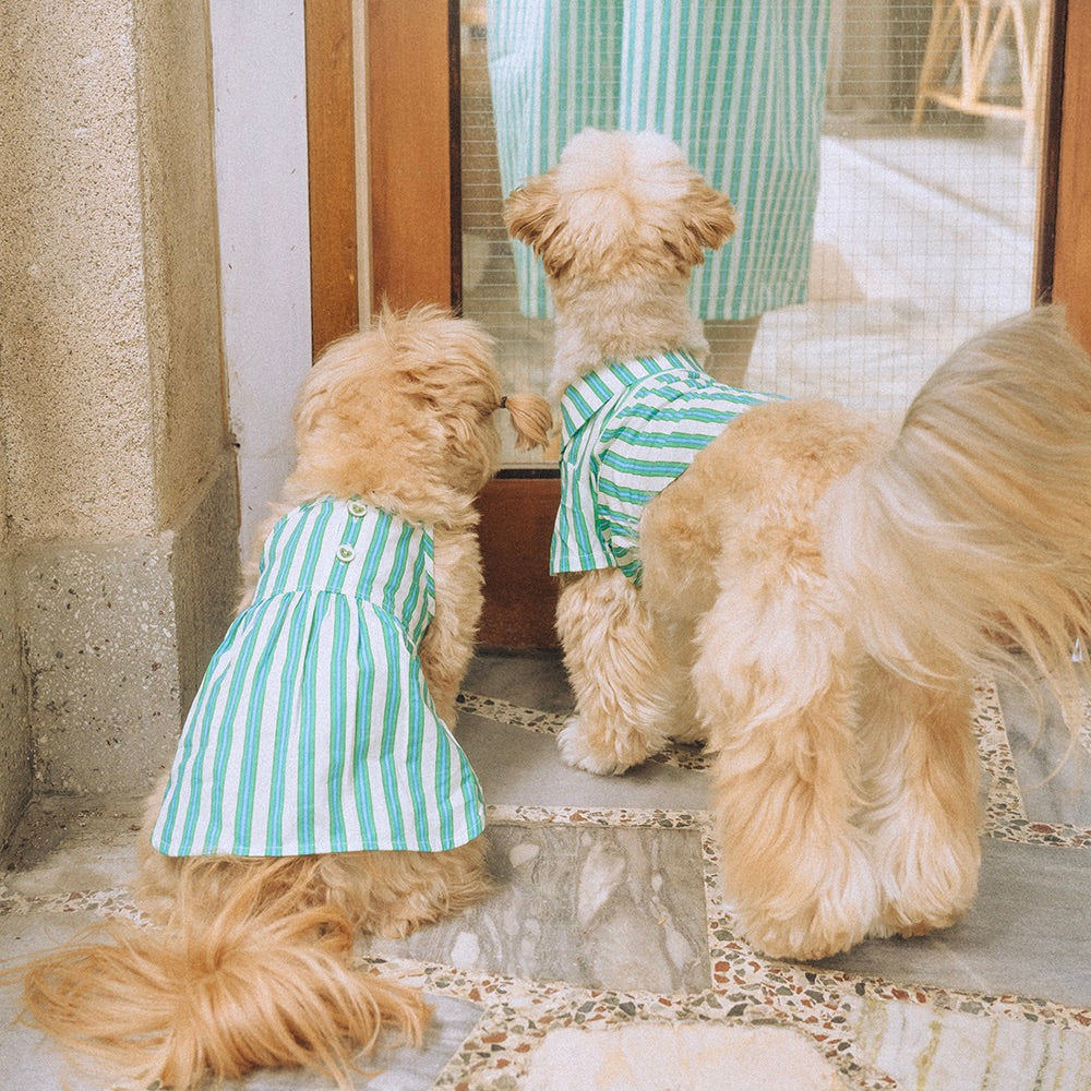 即納【noonoosoom】Stripe Dress（Green）