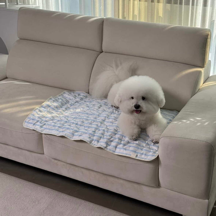 ※予約販売【Chiot】ICE Cool Mat