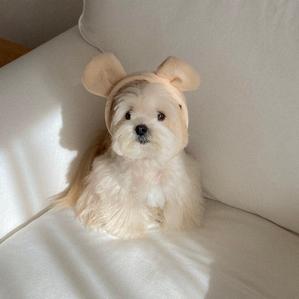 ※予約販売【OUNCE】Teddy Bear Vest & Bonnet（Cream）