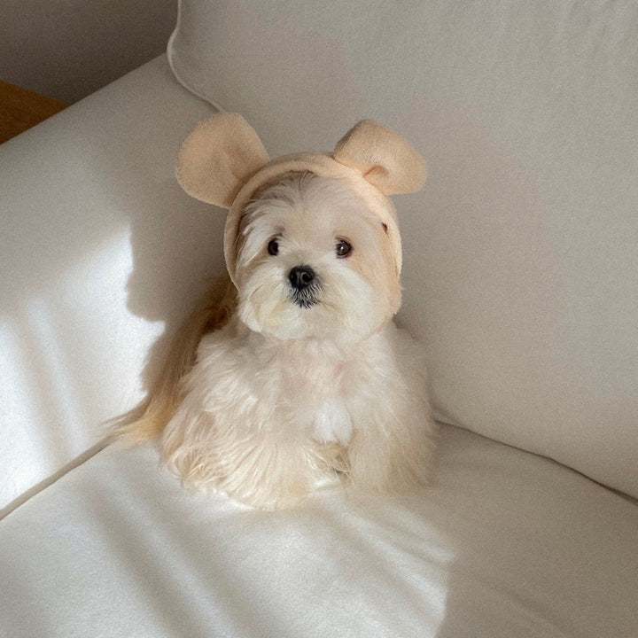 ※予約販売【OUNCE】Teddy Bear Vest & Bonnet（Cream）