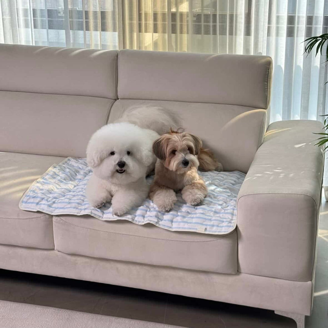 ※予約販売【Chiot】ICE Cool Mat