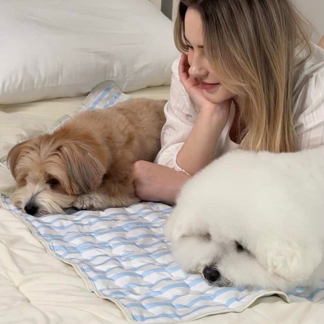※予約販売【Chiot】ICE Cool Mat