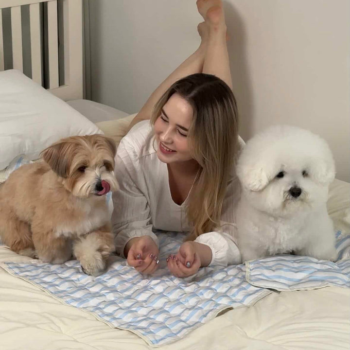 ※予約販売【Chiot】ICE Cool Mat
