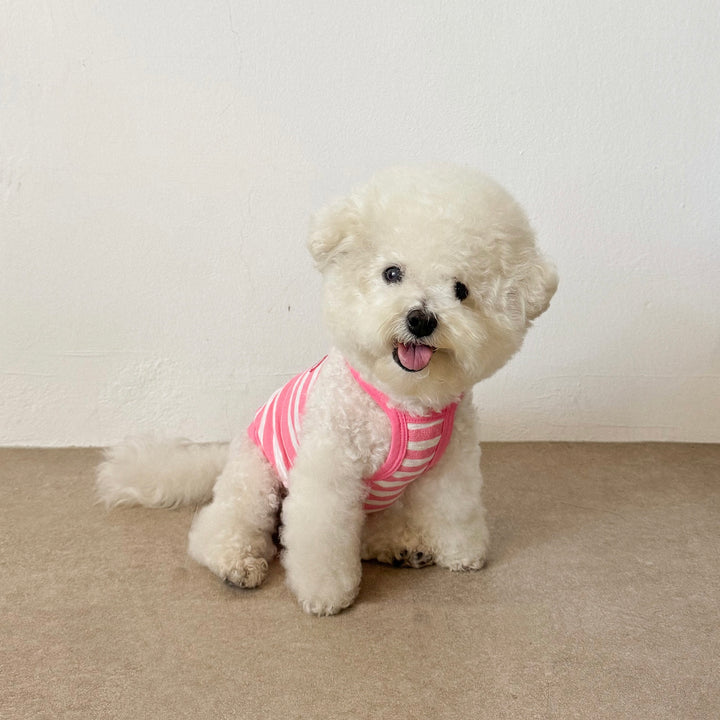 ※予約販売【CRR】Marine Stripe Strap Top（Pink）