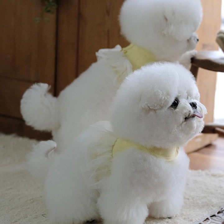 即納【BeBe Breath】Essential Harness（Yellow）Leash Set｜犬用ハーネス